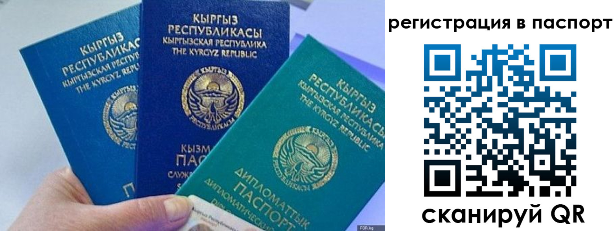прописка 2025 в Дятьково